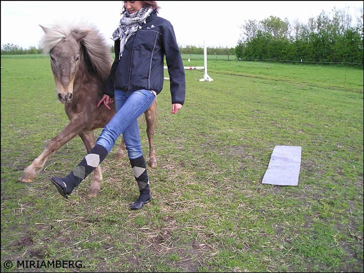 Anden særlig race Figaro - Tricks :-). - 05-2009. billede 8