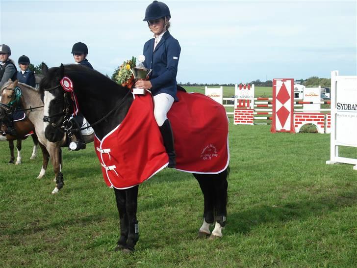 New Forest Søndergårdens Gonzo(solgt) billede 9