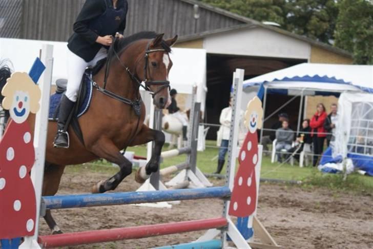Anden særlig race Bacardi - så dygtig :-) billede 13
