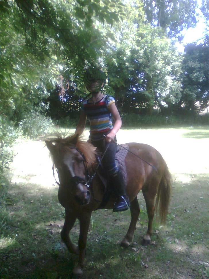 Anden særlig race Futte.†. ~savnet for altid~ - frække ponze!!! ;-) billede 6