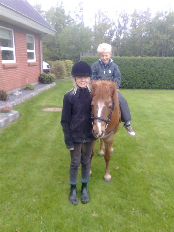 Anden særlig race Futte.†. ~savnet for altid~ - så ville min lille bror lige have en trække tur<33 hehe* billede 10