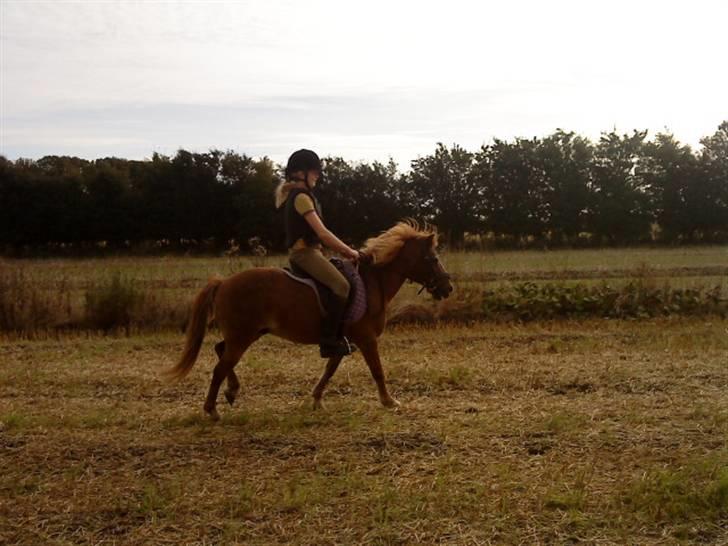 Anden særlig race Futte.†. ~savnet for altid~ - JUHUUU!! billede 11