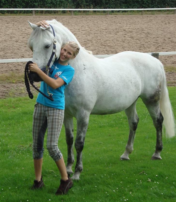 Connemara Calle - SOLGT - calle billede 19