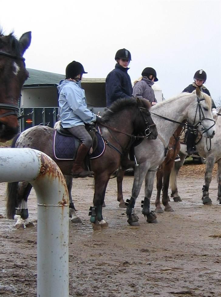 Anden særlig race Pinocchio *red* - Pino og mig lige inden en forjagt til hubertusjagten i gjern (: lang tid siden . det var tider (´: billede 4