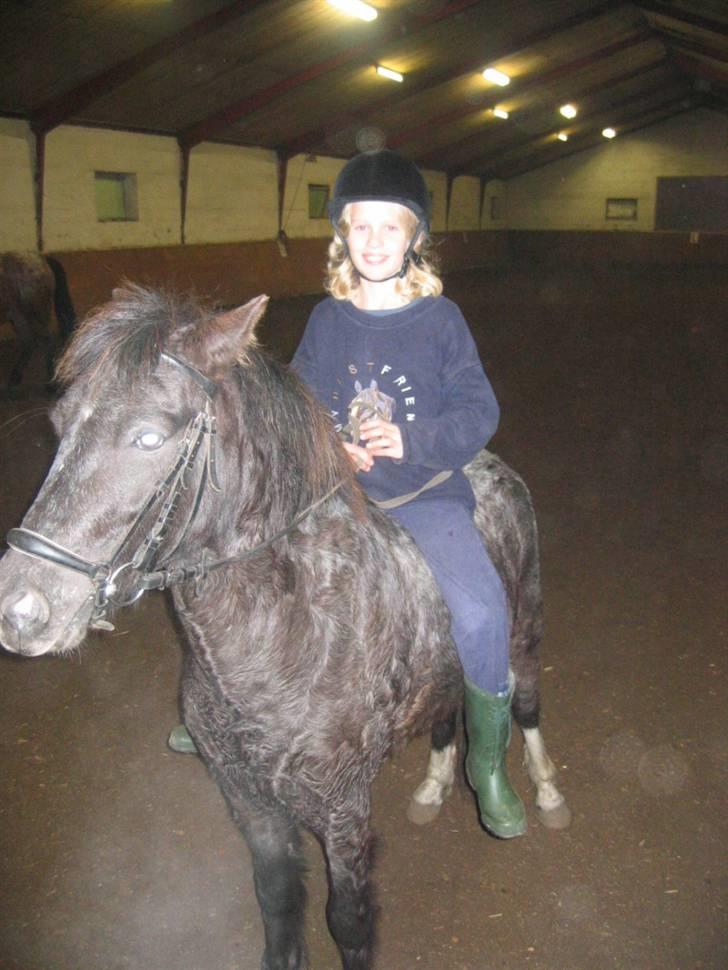 Anden særlig race Pinocchio *red* - undervisning 2003 [:  billede 9