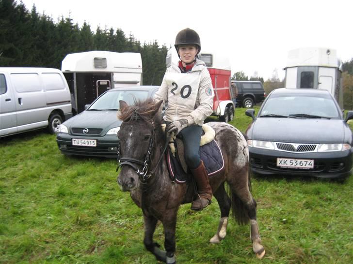 Anden særlig race Pinocchio *red* - hubertusjagt 2006 i gjern som vi vandt :D :D <3 billede 10