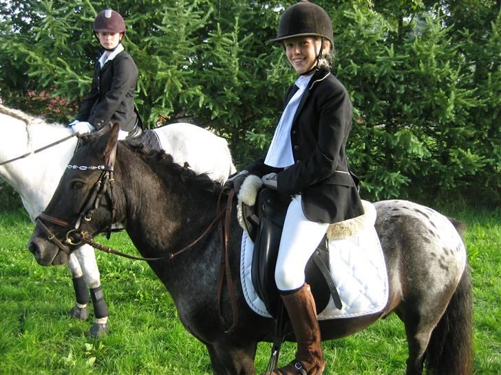 Anden særlig race Pinocchio *red* - efter LC1. vi ser hvis meget tilfredse ud ;D billede 12