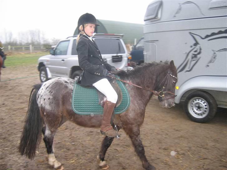 Anden særlig race Pinocchio *red* - mig og Pino til elevstævne i gjern (: 5 plads i begynder 1 - stoooolt ;D billede 17