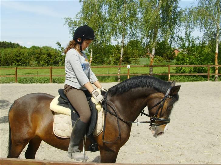 DSP Verona (Donse) - første gang jeg red verona på ejen bane:) billede 3