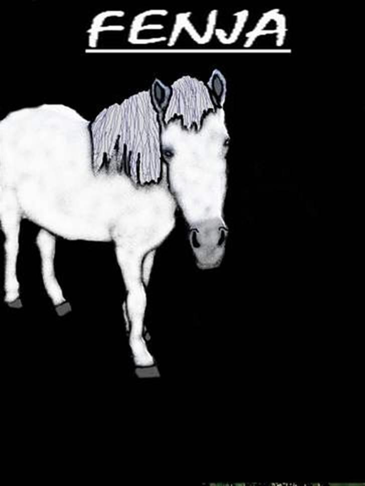 Islænder Fenja Fra Frijsbak billede 17