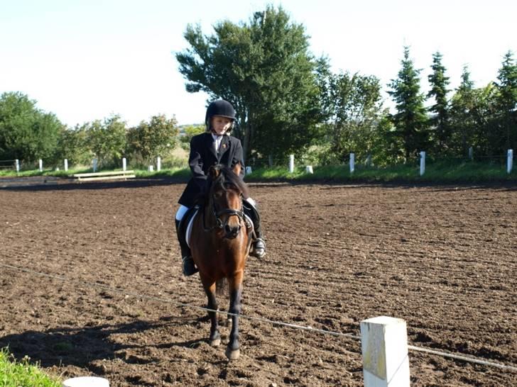 Dartmoor Guldklump<33   /Solgt/ - VeLkOmMeN tIl GuLdKlUmP´s PrOfIl billede 1