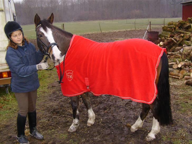 DSP Verona (Donse) - jule gave<33 til ponyen 2008 billede 7