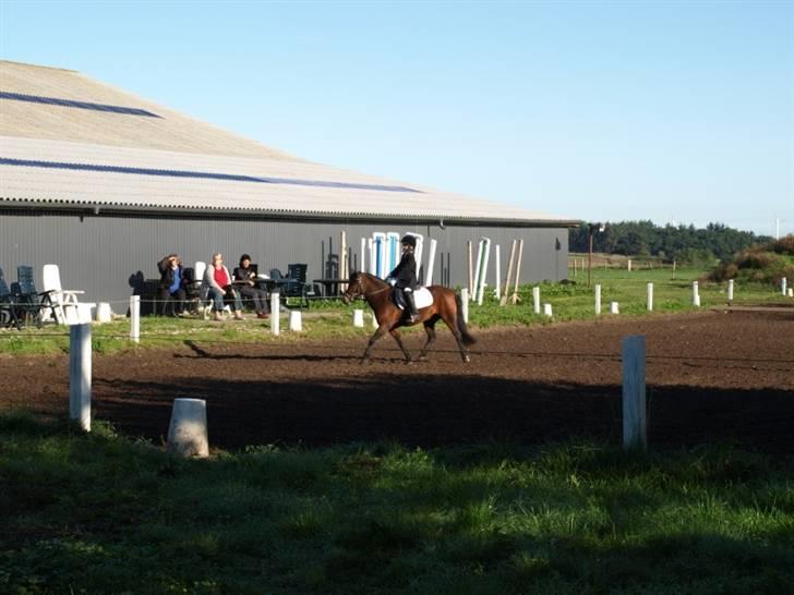 Dartmoor Guldklump<33   /Solgt/ - MiT 3. & 4. sTæVnE! billede 3