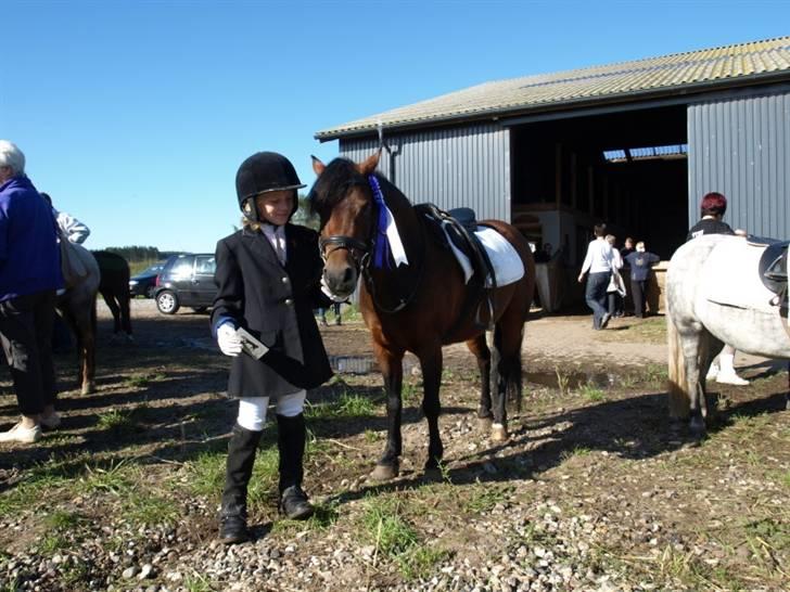 Dartmoor Guldklump<33   /Solgt/ - JuBiIiI!!!!!!!!!!!!!!!!     eN fØrStE pLaDs!!!!!!! billede 4