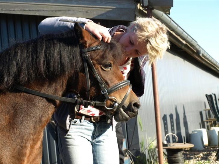 Dartmoor Guldklump<33   /Solgt/ - GuLdKlUmP oG mOr!<3          LoVe BoTh<3<3 billede 5