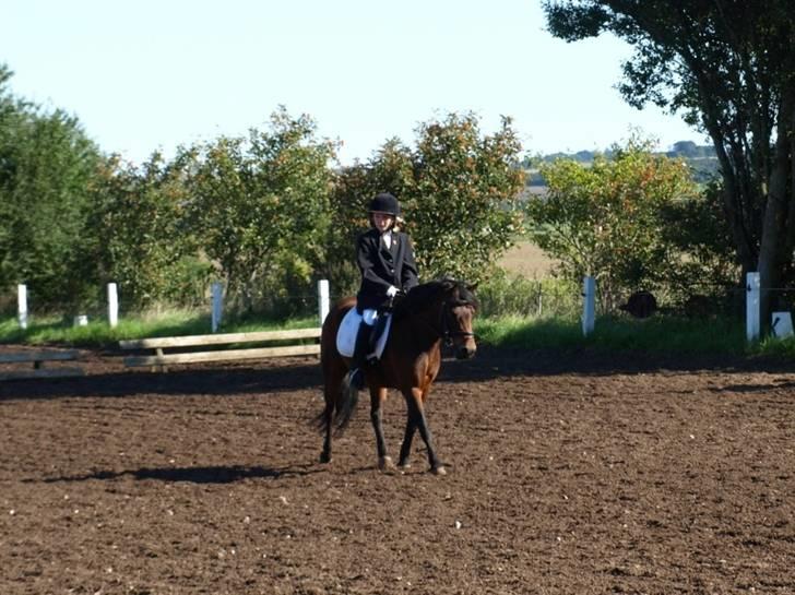 Dartmoor Guldklump<33   /Solgt/ - I lOvE yOu!!!!!!!!!! billede 7