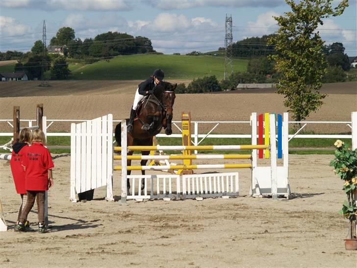 Dansk Varmblod Highway - solgt - Stævne i SSRK Foto: Kurt.  billede 16