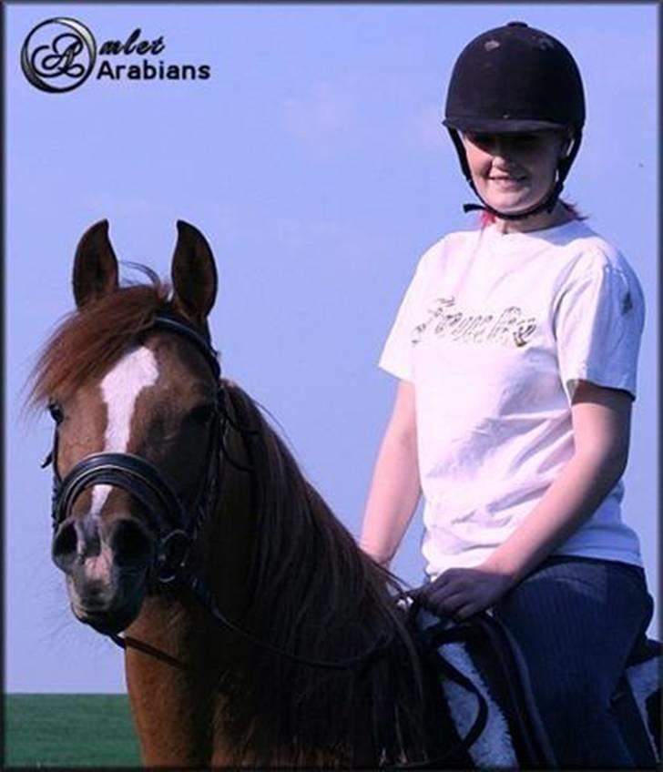 Arabisk fuldblod (OX) Ma-Ajmala - Mallepigen & jeg - skønne krikke. billede 15