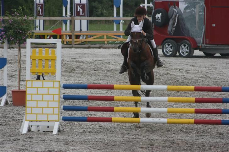 Hollandsk Sportspony Bobby - MB til DM med Aline billede 2