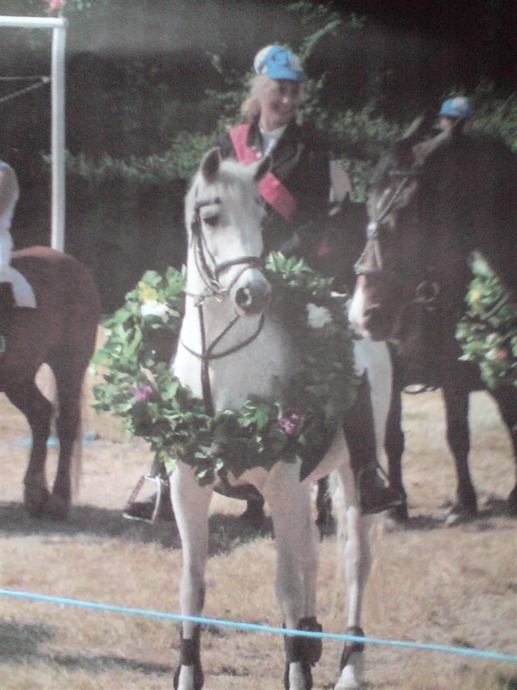 Anden særlig race Laika MiinDM Pony<3  - Blev konge til møgeltønder ringeridnig..  billede 2