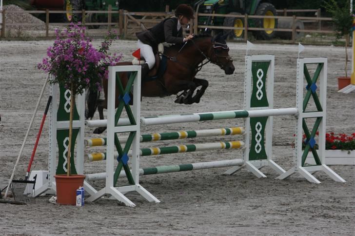 Hollandsk Sportspony Bobby - DM 1. kval. (med Aline) billede 3