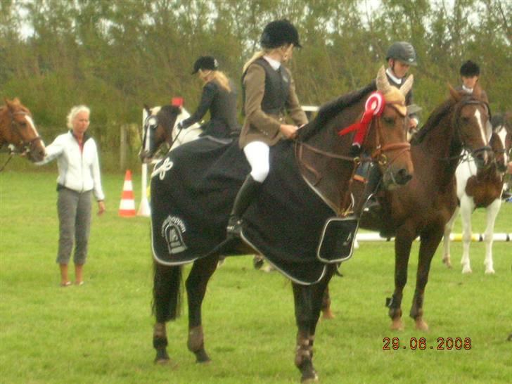 Connemara Millers Magic SOLGT - Til distriktmesterskab <3 billede 13