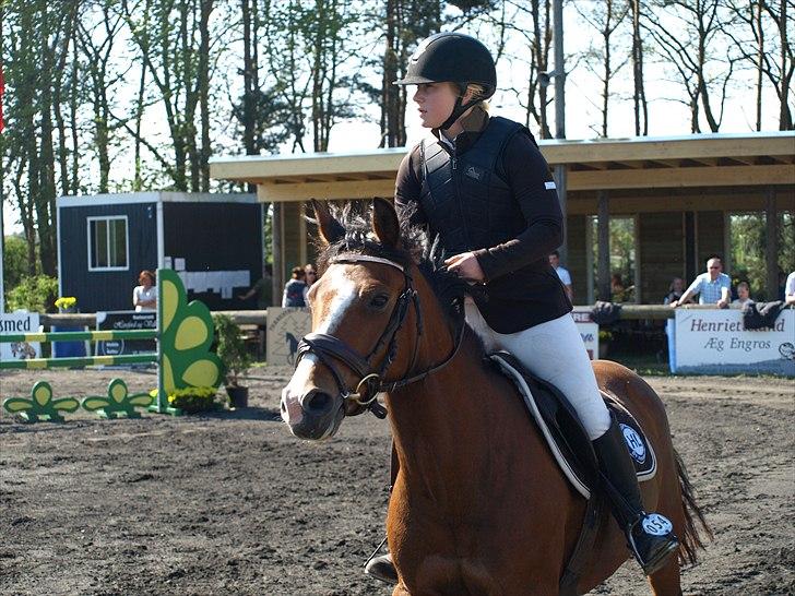 Hollandsk Sportspony  ANNIE | SOLGT :'( - Tættere på himlen :* Annie <3 <3 billede 2