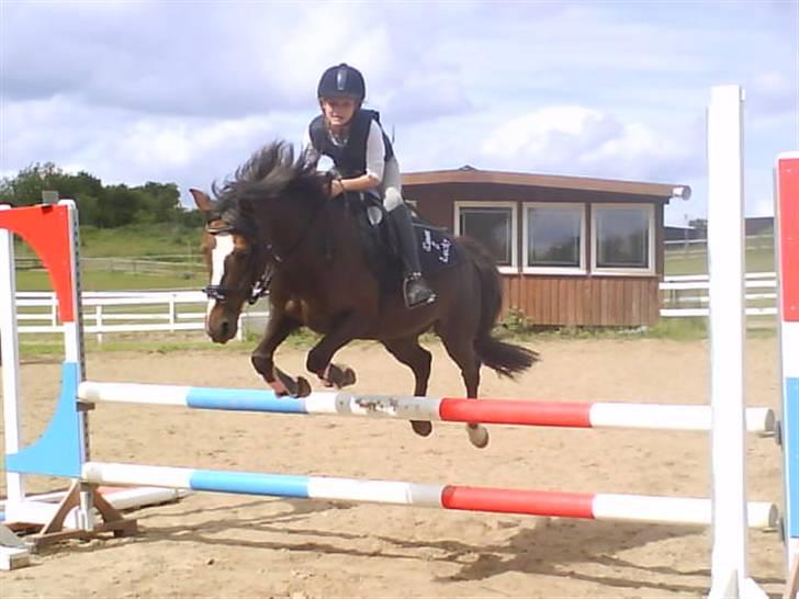 Anden særlig race Lucky billede 13