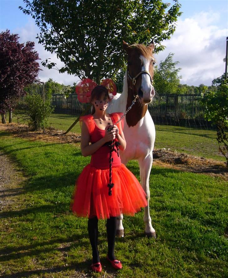 Pinto Gantrup Tinka.  - Sidste skoledag.<3 Tinka ville hjælpe<3 billede 6