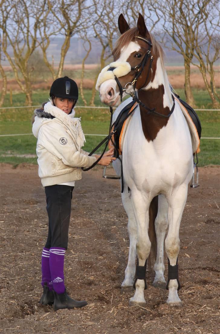 Pinto Gantrup Tinka.  - Elsket SÅ højt<3 Lige glad med om i andre kan li hende eller ej, for jeg kan så utrolig højt!<3 billede 8