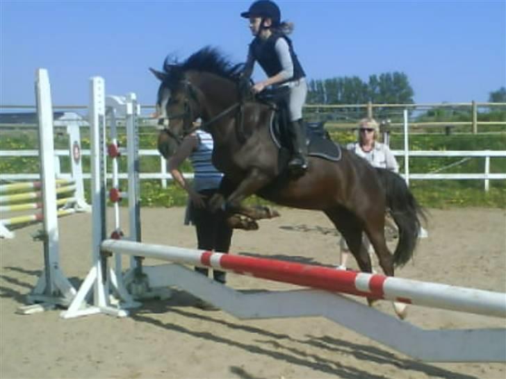Anden særlig race Lucky - I LOVE YOU<3 billede 14