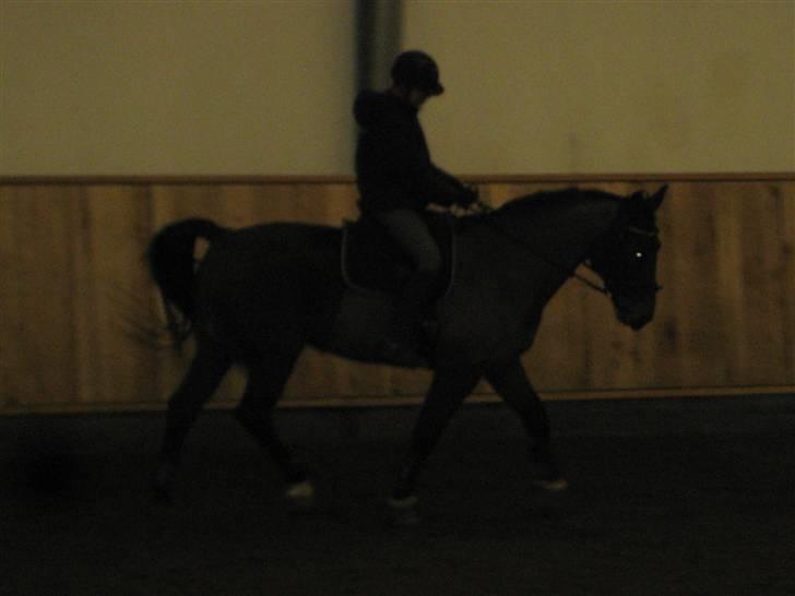 Oldenborg Mon Cherie billede 10