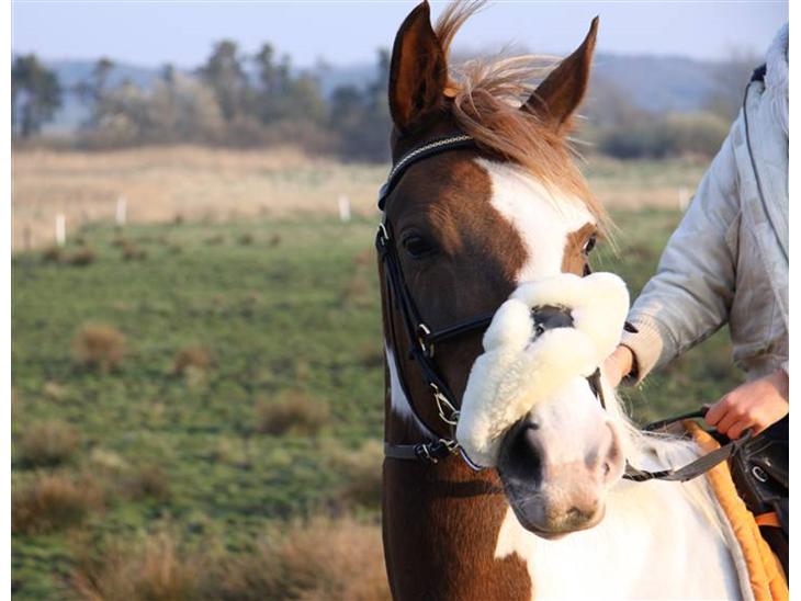 {{currentPhoto.altText}} billede {{currentPhoto.number}}