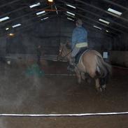 Anden særlig race oscar