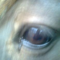 Traver Rolet Bangsbo solgt:'(