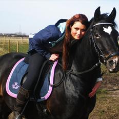 New Forest Løgtholt's Orlando