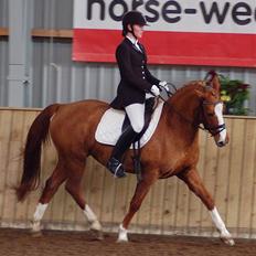 Anden særlig race Bellami - min søsters nu