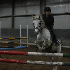 Anden særlig race Rævehalegårds Snowstar