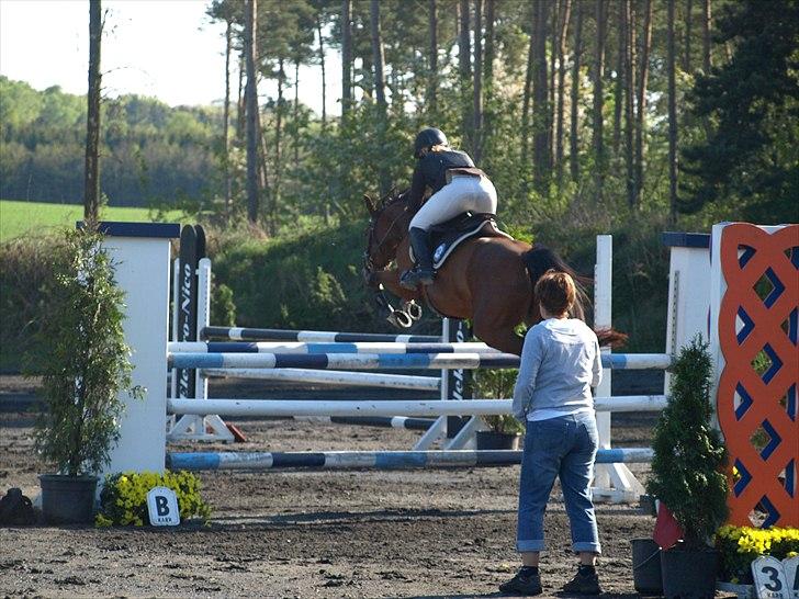 Hollandsk Sportspony  ANNIE | SOLGT :'( - Mb 2011 billede 6