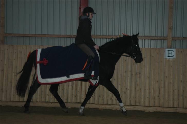 Anden særlig race Zappa<3 † R.I.P d.13-5-09 - Opvarmning :D billede 2