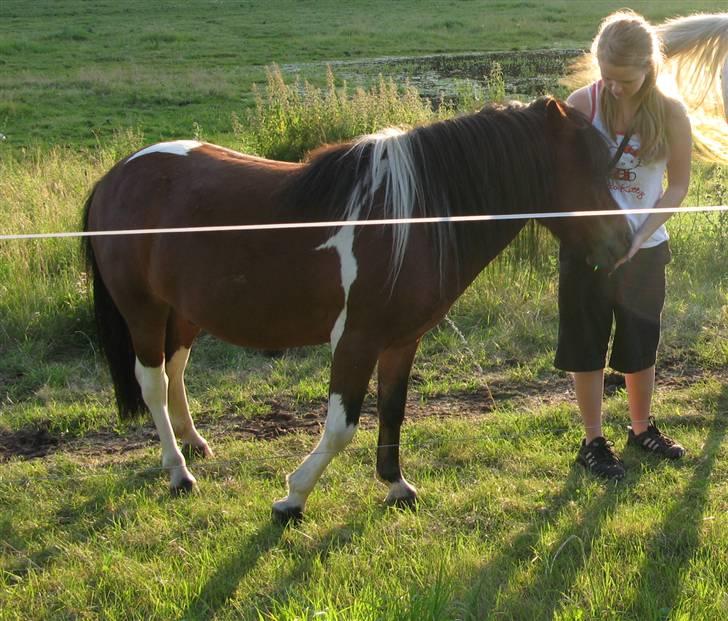 Anden særlig race Magnus - Han elsker at nusse hænder og håndflader ;) billede 9