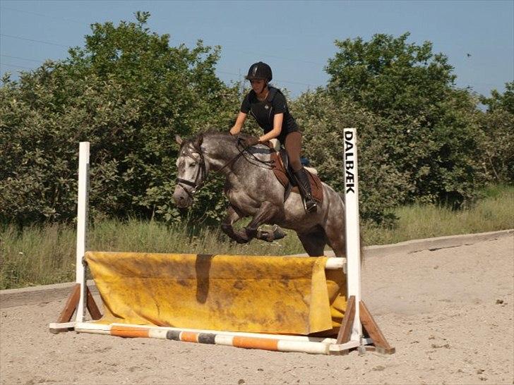 Sportsaraber (A) Makong The King R.I.P - Til springundervisning på Tronsøskolen :) billede 9