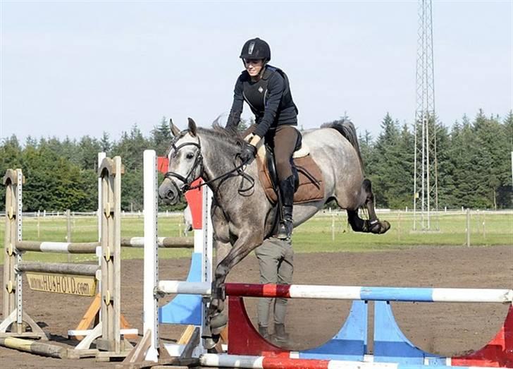 Sportsaraber (A) Makong The King R.I.P - springundervisning :) op med numsen d: billede 11