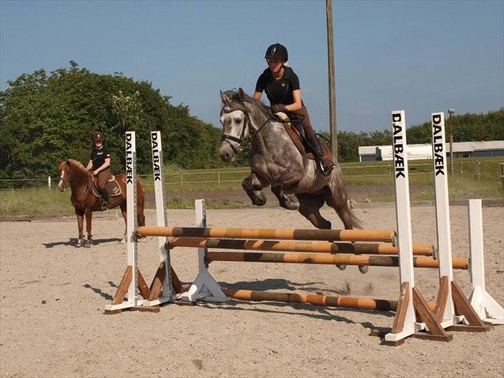 Sportsaraber (A) Makong The King R.I.P - Vinter 2009 :) billede 15