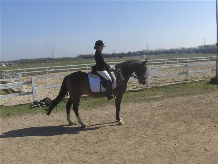 DSP Ringo - Stævne på Grev LB1 + LB3, 11 Apr 2009 billede 18