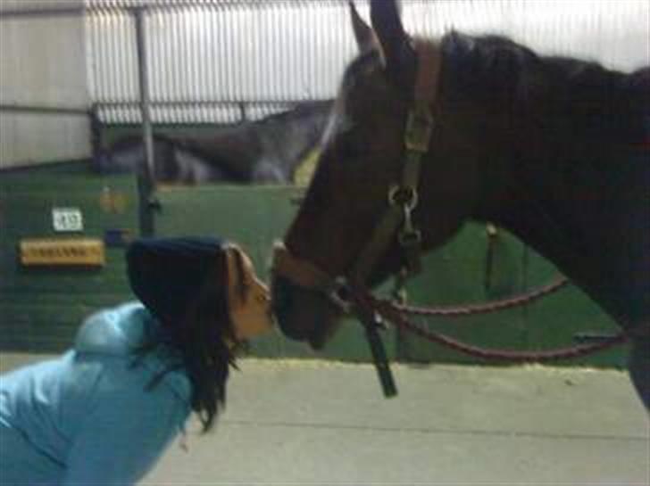 Anden særlig race Sheza - Leveret tilbage   billede 4