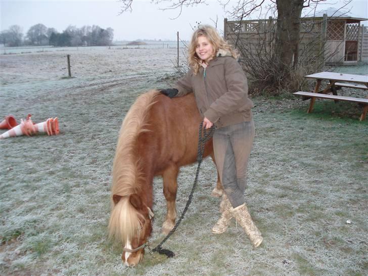 Anden særlig race Marquis billede 15