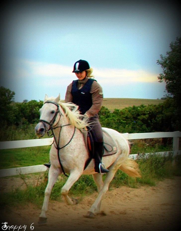 Anden særlig race Snappy .<'3 - Det var en af de sidste skridt mod eventyren. ;´)      (Ved godt mine futter stritter noget ud, men det var lige ovenpå en sommerferie) Foto: Far billede 11