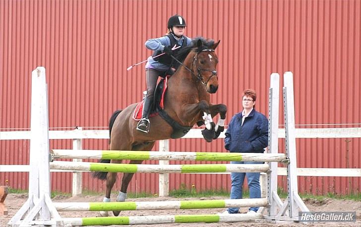 Anden særlig race Bysteds Kassio - jeg springer på kassio:D  han er en superman! billede 2