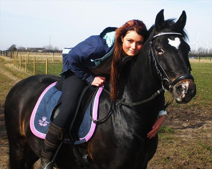 New Forest Løgtholt's Orlando - Velkommen til Orlando´s profil. billede 3